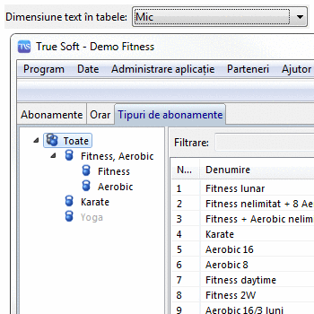 Configurare dimensiune texte