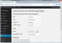 Partners.messages.wp plugin small